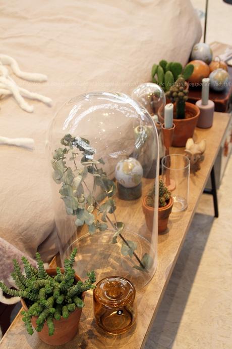 Pflanzen in verschiedenen Behältnissen und unter Glas auf der vt wonen en design beurs amsterdam 2015
