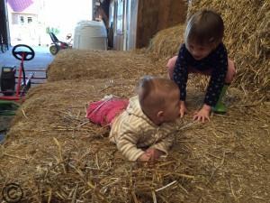 Bauernhof-Urlaub – das Beste mit Kindern