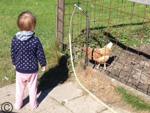 Bauernhof-Urlaub – das Beste mit Kindern