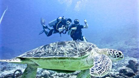Unterwasser neue Freunde treffen