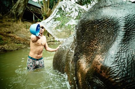 Elefant im Fluß waschen