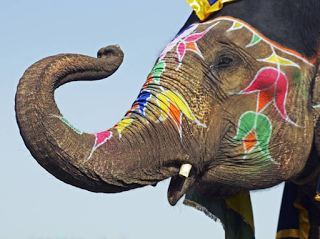 Aventin Blog: Der wilde Elefant • Allegorie • Späte Erkenntnis [del.icio.us]