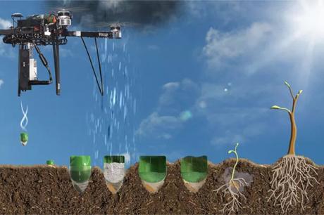 Wie Dronen unsere Wälder retten könnten!