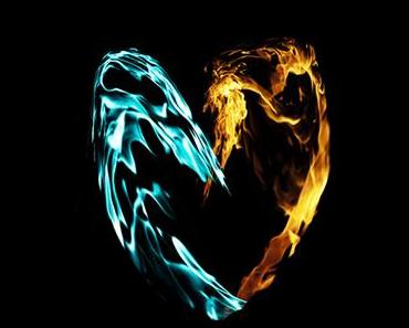 Die Krieger der Herzen