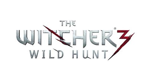 Witcher Wild Hunt 