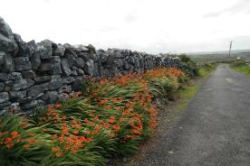 Durch die Burren von Fanore bis Doolin