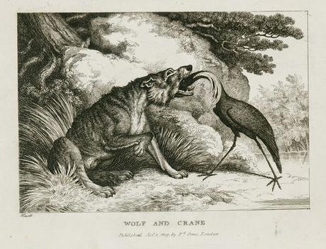 Aventin Blog: Vom Wolf und dem Kranich • Fabel von Aesop [del.icio.us]