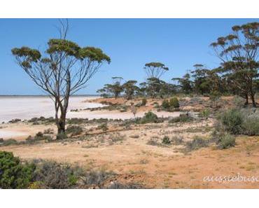 Der Granite and Woodlands Discovery Trail von Norseman nach Hyden