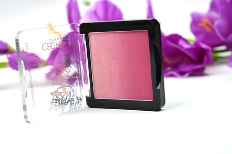 [NEU & LE] Review & Swatch: Catrice FALLosophy Blush Nuance 01 Fading into Dawn