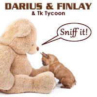 Darius & Finlay & Tk Tycoon - Sniff It