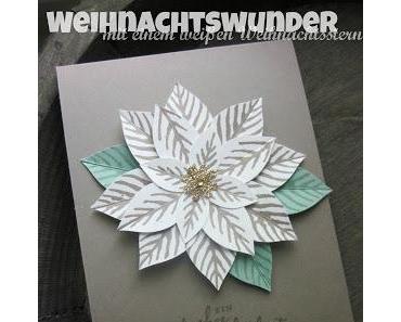 Ein weißes Weihnachtswunder