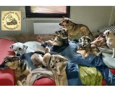 Michele Angelo's Freunde