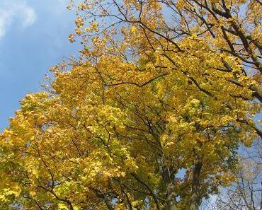 Herbst von seiner schönsten Seite