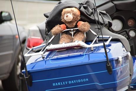 03_Harley-Davidson-Teddy-Faehrhafen-Livorno-Italien