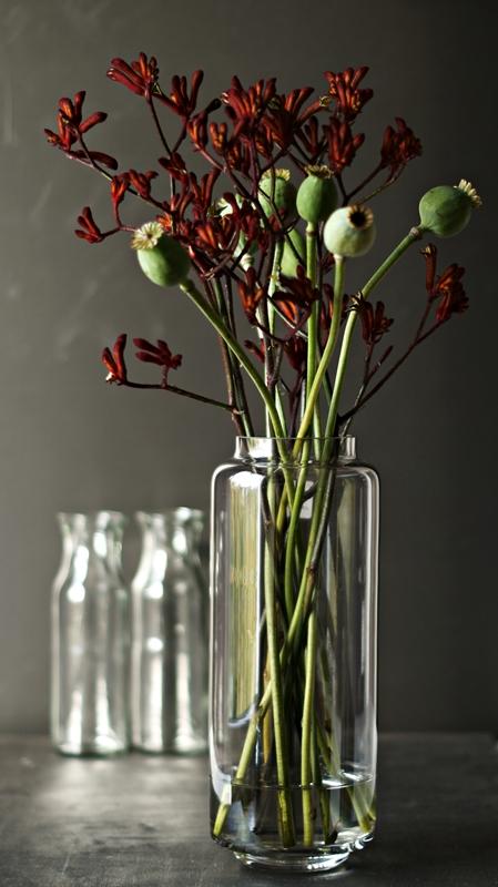 Blog + Fotografie by it's me! - Flower Friday, Mohnkapseln und dunkelrote Blütenzweige in einer Glasvase