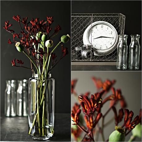 Blog + Fotografie by it's me! - Flower Friday, Collage von Mohnkapseln und dunkelroten Blütenzweigen, Deko und Details
