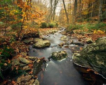 [*.txt]  Wer mit Eifer sucht