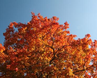 wallpaper-1689754