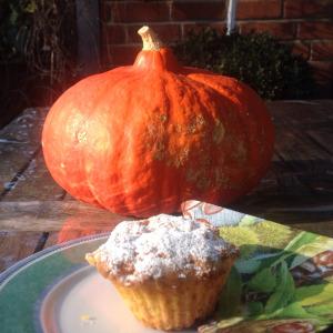 Große Kürbisliebe # 2 – oder –  Kürbis-Muffins, süß und saftig