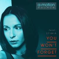 A-motion Source - You Wont Forget