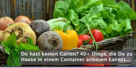 Du hast keinen Garten? 40+ Dinge, die Du zu Hause in einem Container anbauen kannst…