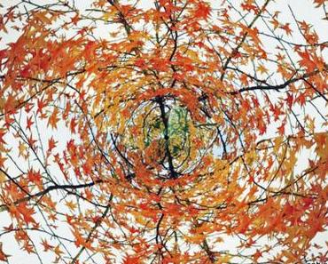 Die Coolen Blogbeiträge #45 im Blätterwirbel