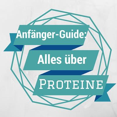 Anfänger-Guide: Alles über Proteine