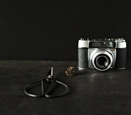 Blog + Fotografie by it's me! - analoge Kamera, Lärchenzapfen und eine alte Schere