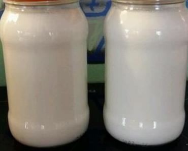 Joghurt selber machen im Krups Prep&amp;Cook