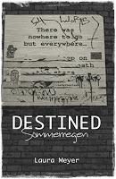 [Rezension] Destined: Sommerregen (Laura Meyer)