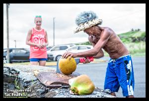 EISWUERFELIMSCHUH - Hawaii Big Island Black Beach Coconuts Turtle (18)