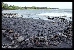EISWUERFELIMSCHUH - Hawaii Big Island Black Beach Coconuts Turtle (69)