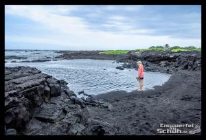 EISWUERFELIMSCHUH - Hawaii Big Island Black Beach Coconuts Turtle (43)