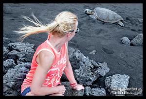 EISWUERFELIMSCHUH - Hawaii Big Island Black Beach Coconuts Turtle (79)