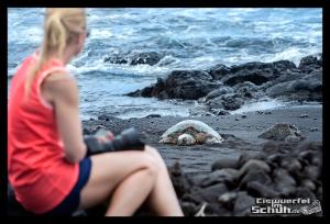 EISWUERFELIMSCHUH - Hawaii Big Island Black Beach Coconuts Turtle (88)