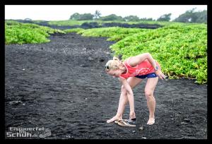 EISWUERFELIMSCHUH - Hawaii Big Island Black Beach Coconuts Turtle (44)