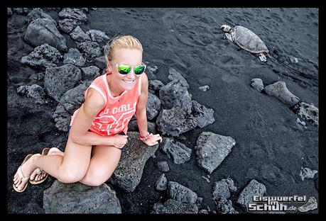 EISWUERFELIMSCHUH - Hawaii Big Island Black Beach Coconuts Turtle (72)