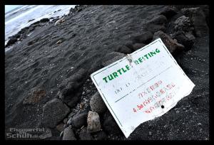 EISWUERFELIMSCHUH - Hawaii Big Island Black Beach Coconuts Turtle (68)