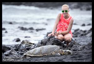 EISWUERFELIMSCHUH - Hawaii Big Island Black Beach Coconuts Turtle (74)