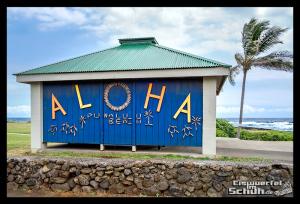 EISWUERFELIMSCHUH - Hawaii Big Island Black Beach Coconuts Turtle (4)