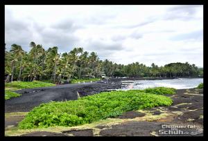 EISWUERFELIMSCHUH - Hawaii Big Island Black Beach Coconuts Turtle (59)