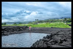 EISWUERFELIMSCHUH - Hawaii Big Island Black Beach Coconuts Turtle (50)