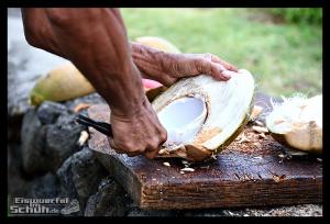 EISWUERFELIMSCHUH - Hawaii Big Island Black Beach Coconuts Turtle (27)