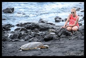 EISWUERFELIMSCHUH - Hawaii Big Island Black Beach Coconuts Turtle (81)