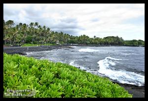 EISWUERFELIMSCHUH - Hawaii Big Island Black Beach Coconuts Turtle (51)