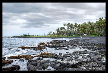 EISWUERFELIMSCHUH - Hawaii Big Island Black Beach Coconuts Turtle (65)