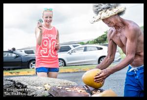 EISWUERFELIMSCHUH - Hawaii Big Island Black Beach Coconuts Turtle (13)