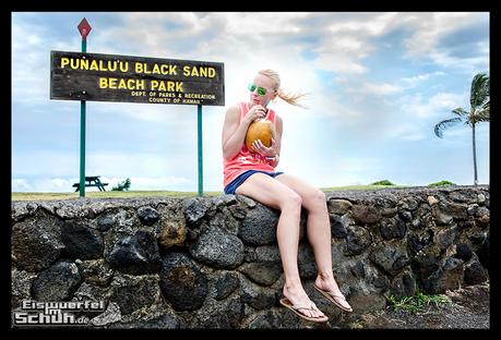 EISWUERFELIMSCHUH - Hawaii Big Island Black Beach Coconuts Turtle (22)
