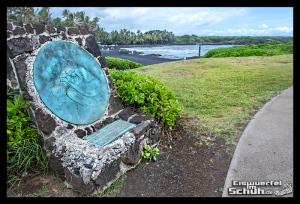 EISWUERFELIMSCHUH - Hawaii Big Island Black Beach Coconuts Turtle (8)