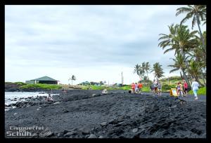EISWUERFELIMSCHUH - Hawaii Big Island Black Beach Coconuts Turtle (66)